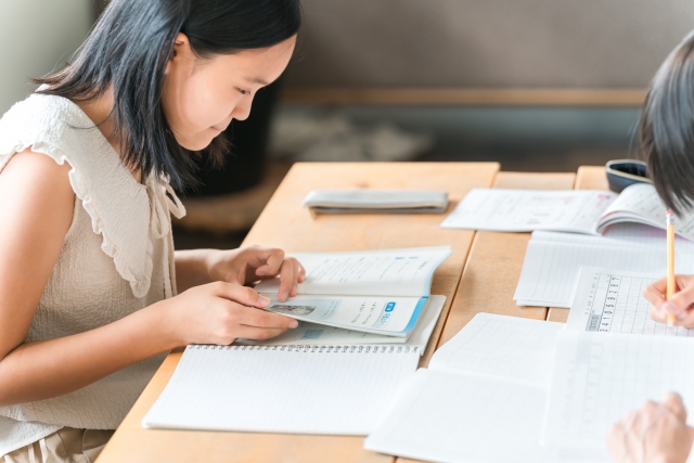 DWE:タッチバージョンに交換！交換しない派だった私が決めた理由と学力影響は？